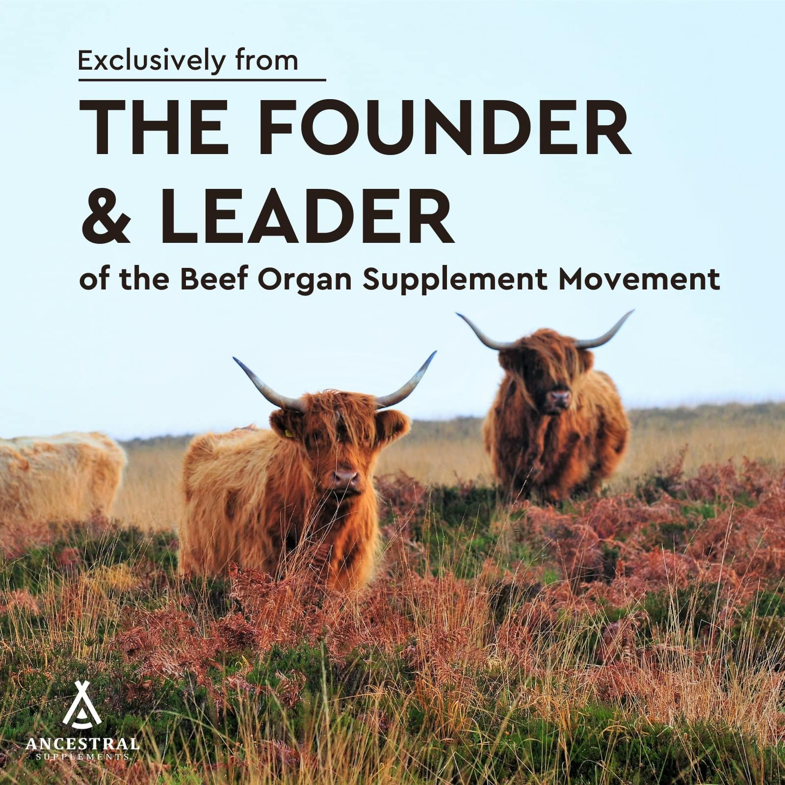 Ancestral Supplements Nutrición de órganos: concentración de proteínas y micronutrientes.