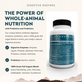 Ancestral Supplements probiótico Bacillus subtilis para equilibrio intestinal.