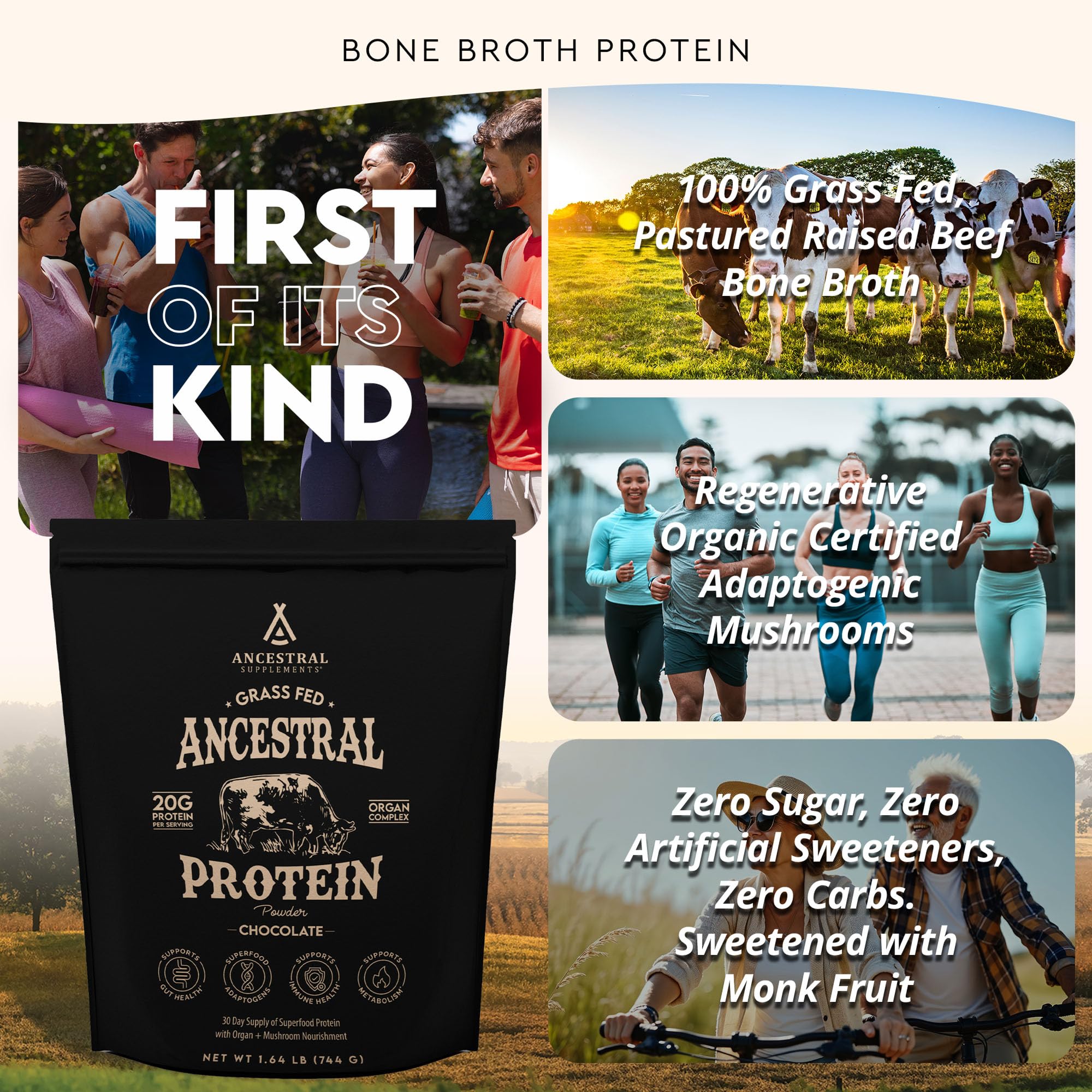 Ancestral Supplements proteína en polvo chocolate en mezclador para batidos cremosos