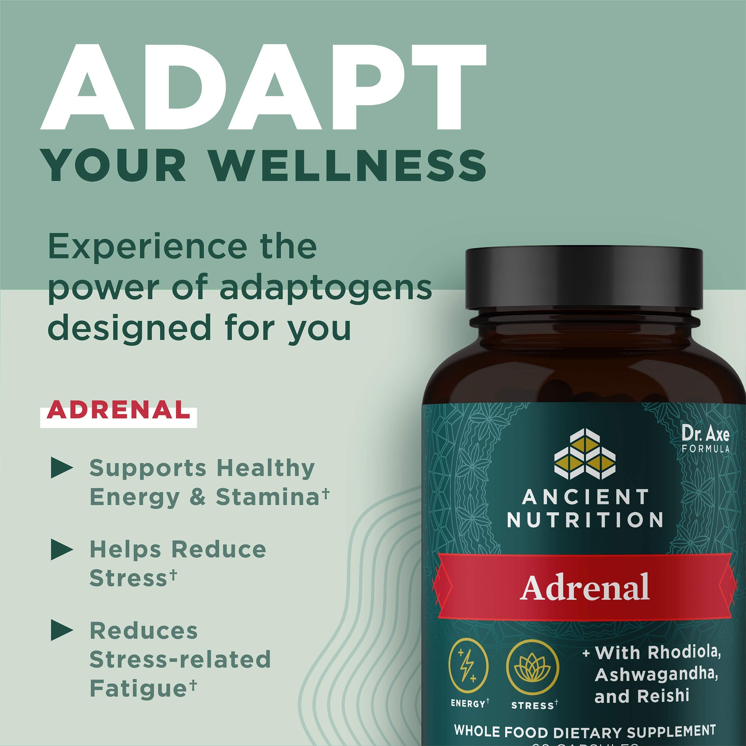 Ancient Nutrition Adrenal: ingredientes clave Rhodiola y Reishi para energía equilibrada.
