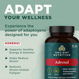 Ancient Nutrition Adrenal: ingredientes clave Rhodiola y Reishi para energía equilibrada.