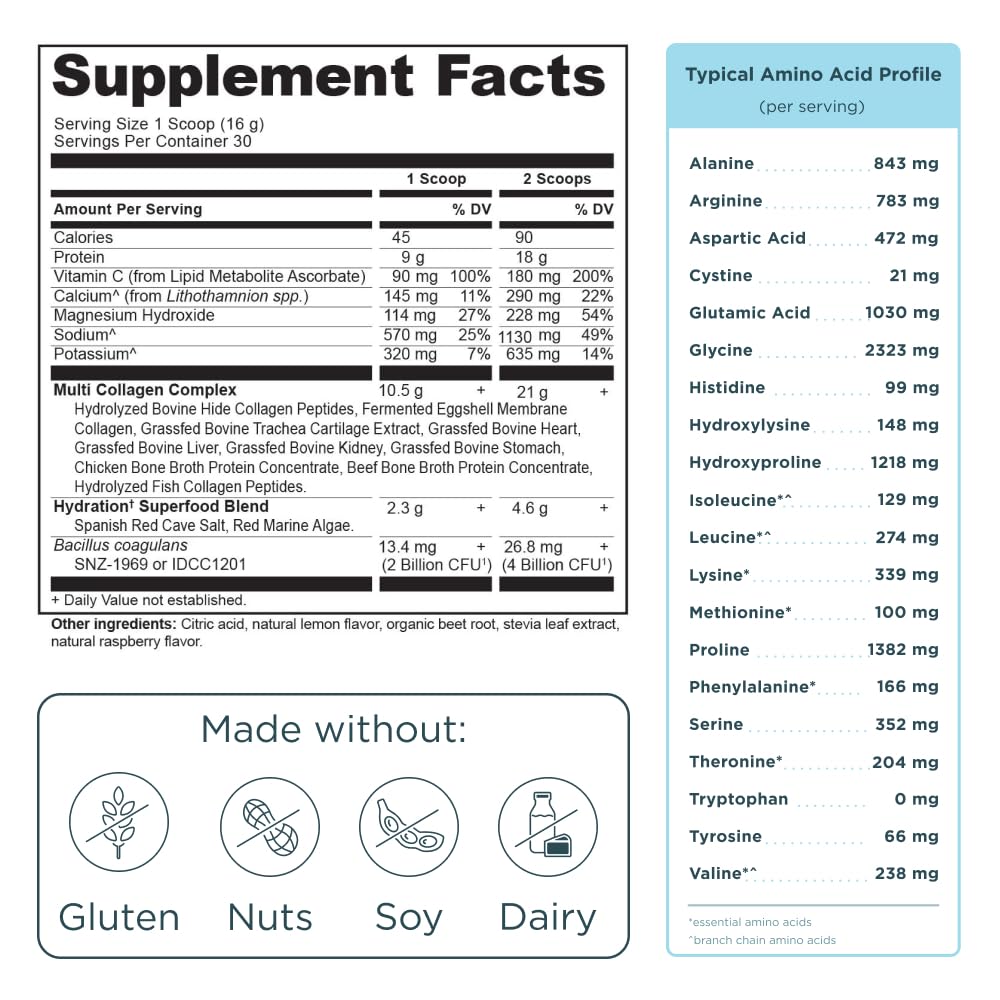 Alga marina roja presente en Ancient Nutrition Hydrate para hidratación natural