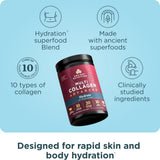 Ancient Nutrition Advanced Multi Collagen Hydrate, etiqueta nutricional visible, destaca 2x electrolitos.