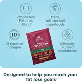 Ancient Nutrition ashwagandha orgánica, opción natural para el bienestar diario.