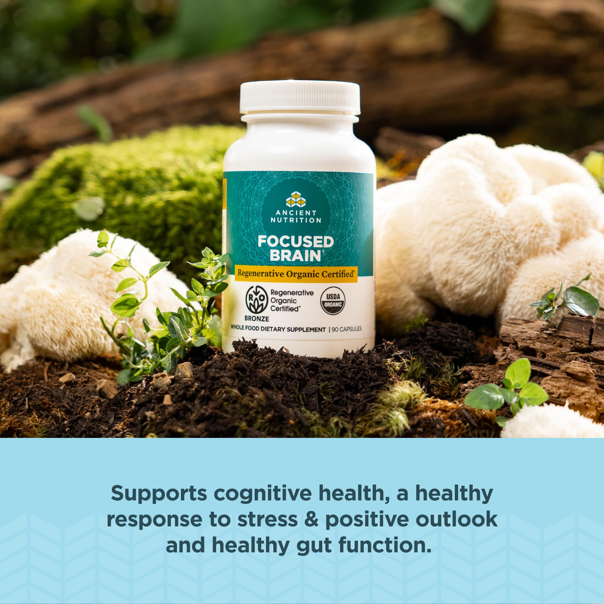 Ancient Nutrition Cápsulas con melena de león para claridad