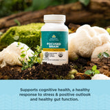 Ancient Nutrition Cápsulas con melena de león para claridad
