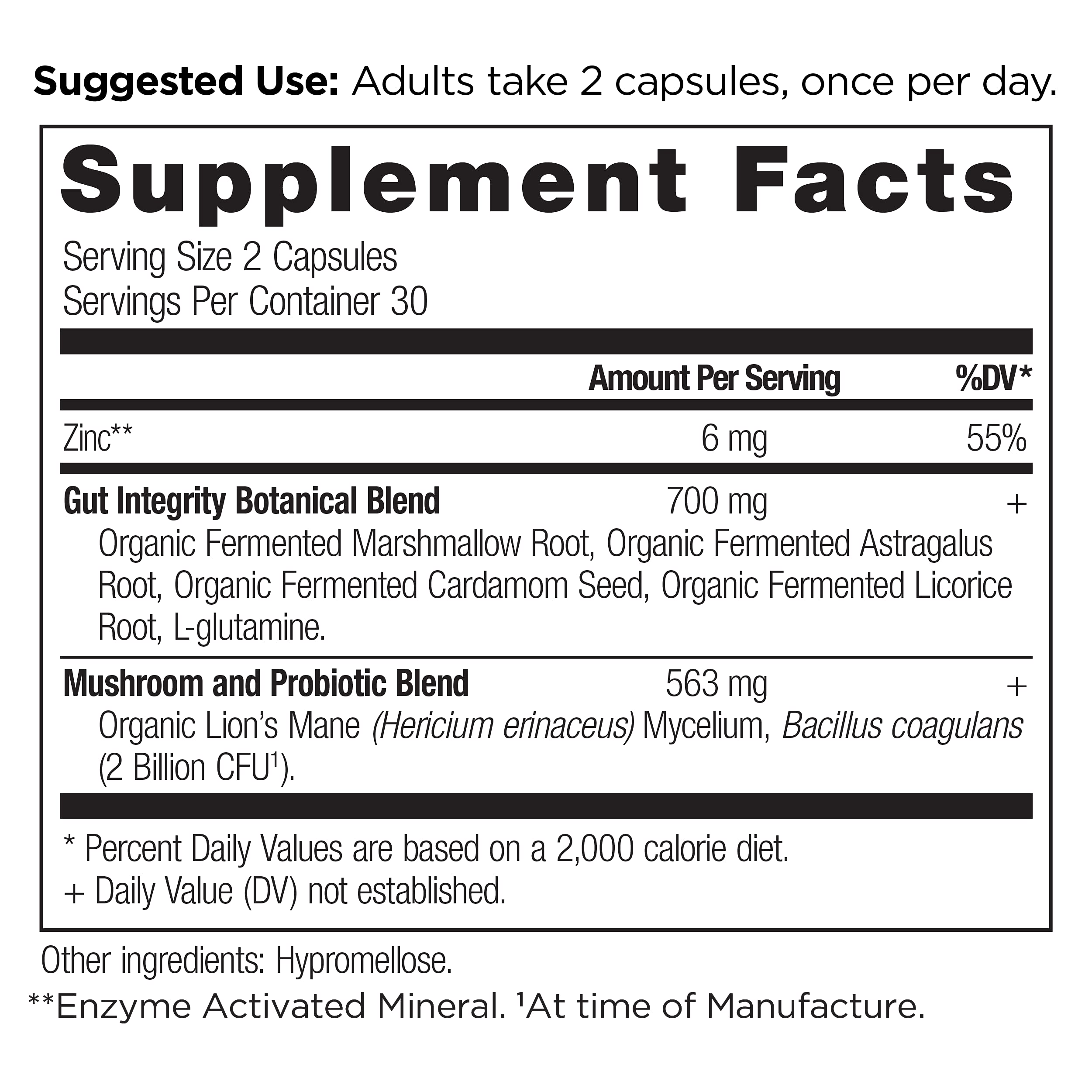Ancient Nutrition cápsulas para intestino permeable, etiqueta detallada de ingredientes.