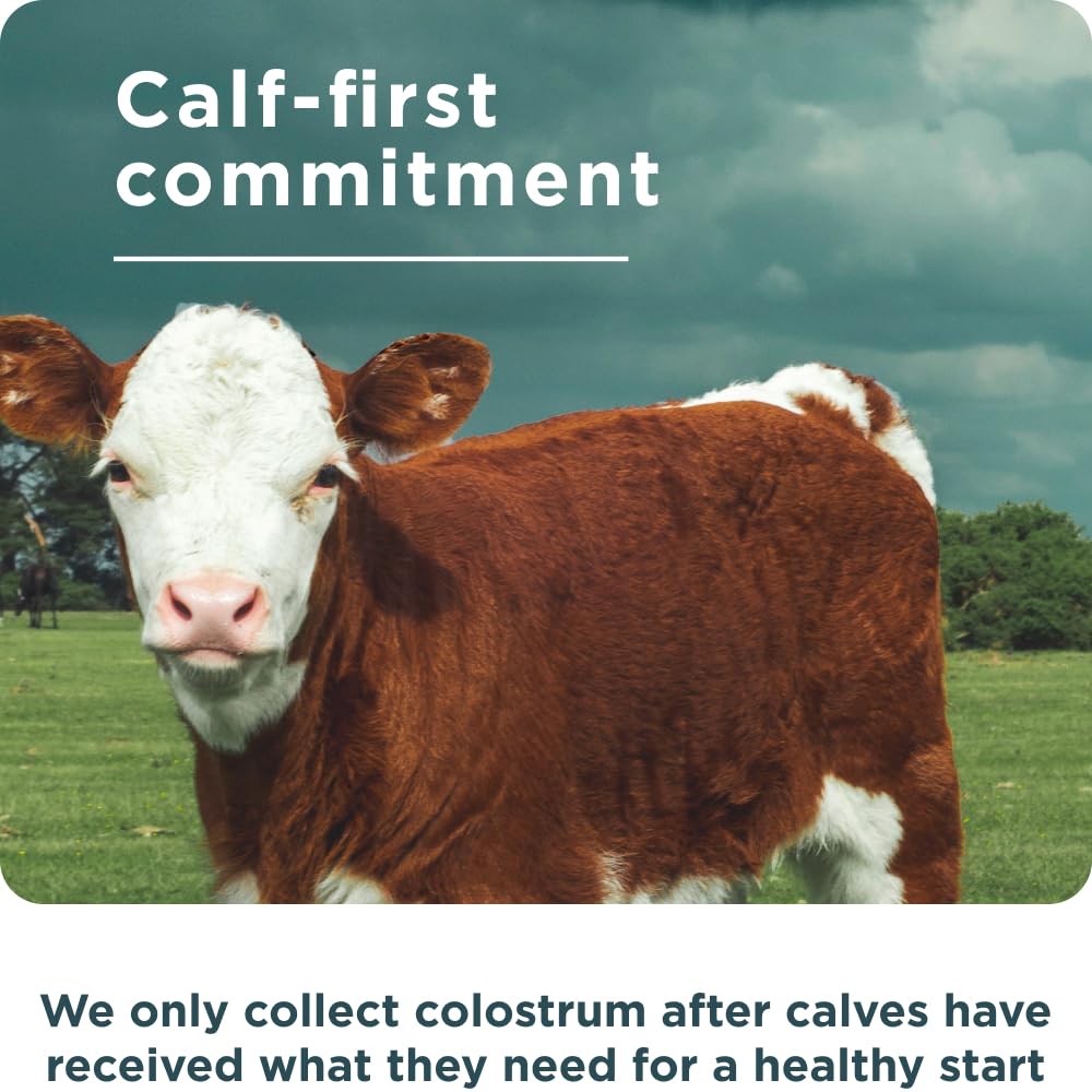 Ancient Nutrition Colostrum dosis diaria: incorporarlo sencillamente en tu rutina.