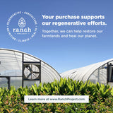 Cajas Ancient Nutrition que destacan el cuidado de piel, cabello y uñas.