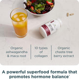 Ancient Nutrition extracto de ashwagandha raíz para energía equilibrada.