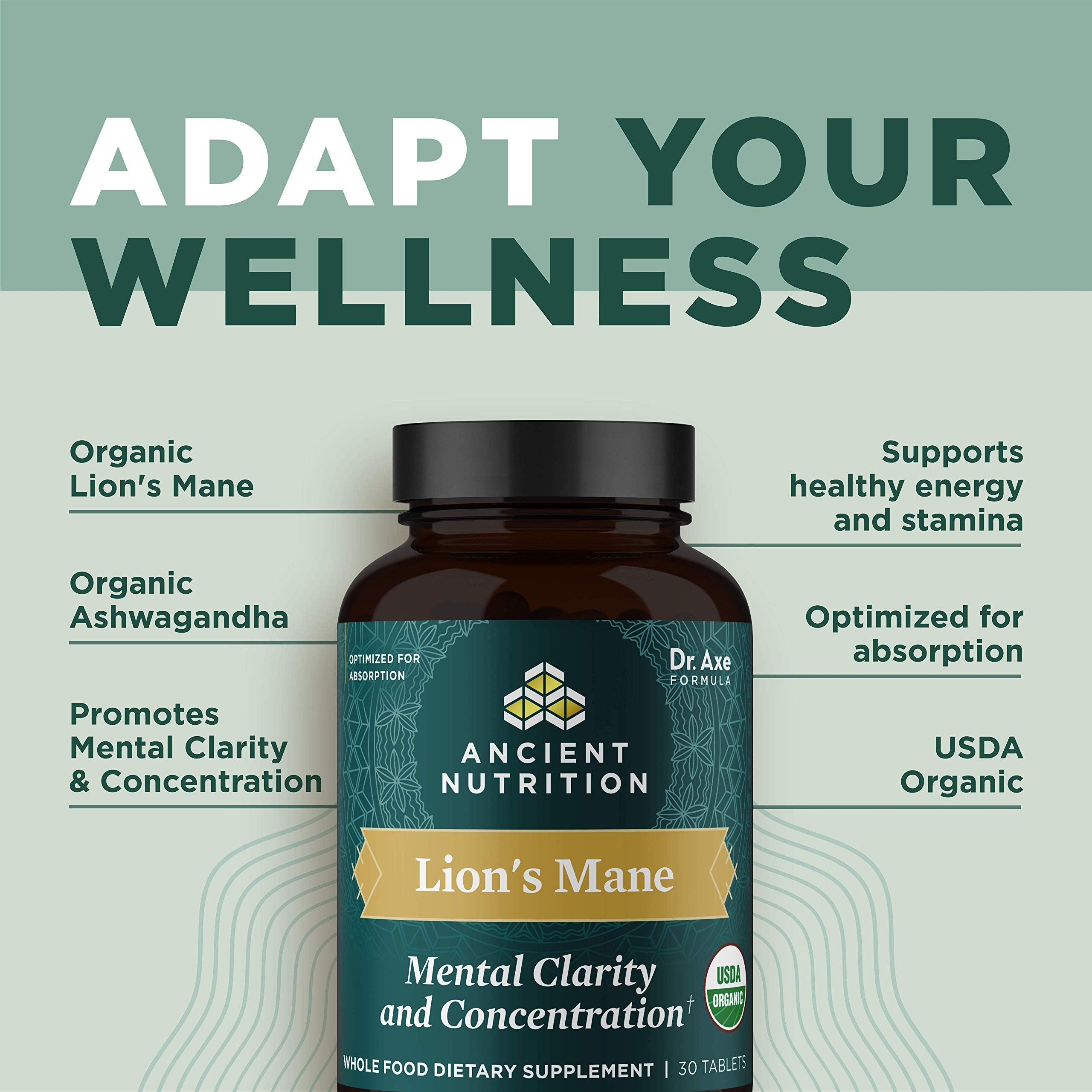 Ancient Nutrition melena-de-leon tabletas mano sosteniendo botella