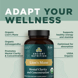 Ancient Nutrition melena-de-leon tabletas mano sosteniendo botella
