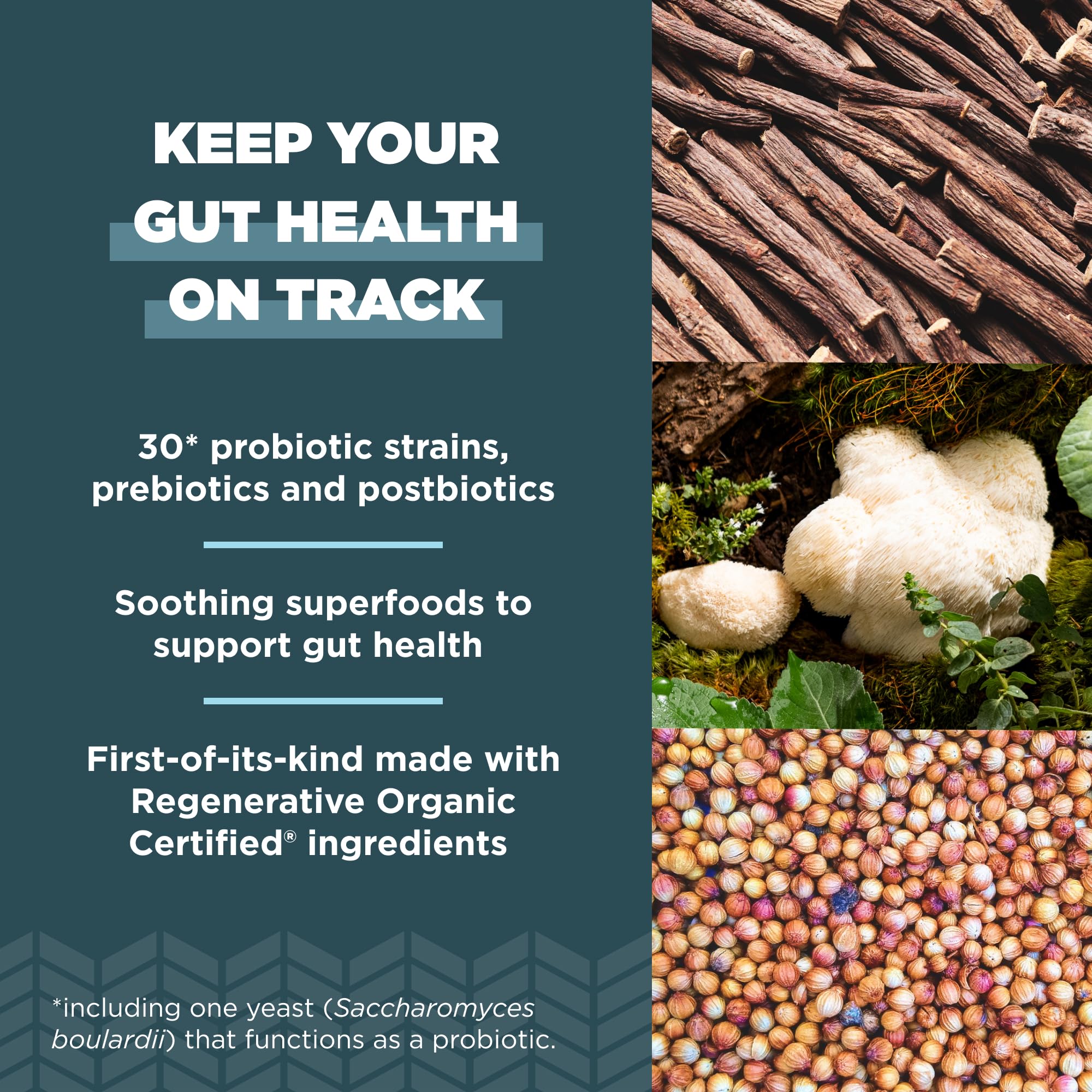 Ancient Nutrition Probioticos: mezcla de 30 cepas para diversidad intestinal