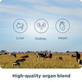 Ancient Nutrition Organos: fondo blanco realza las cápsulas para visualización clara y compra segura.