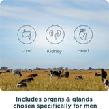 Origen Cordero Islandia: órganos silvestres para nutrición equilibrada.