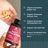 Colágeno de origen Norteamérica, Ancient Nutrition para apoyo diario de piel y articulaciones