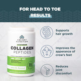 Muestra de colágeno vegetariano Ancient Nutrition en taza con sabor natural