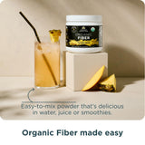 Probiotico Bacillus coagulans incluido en Ancient Nutrition