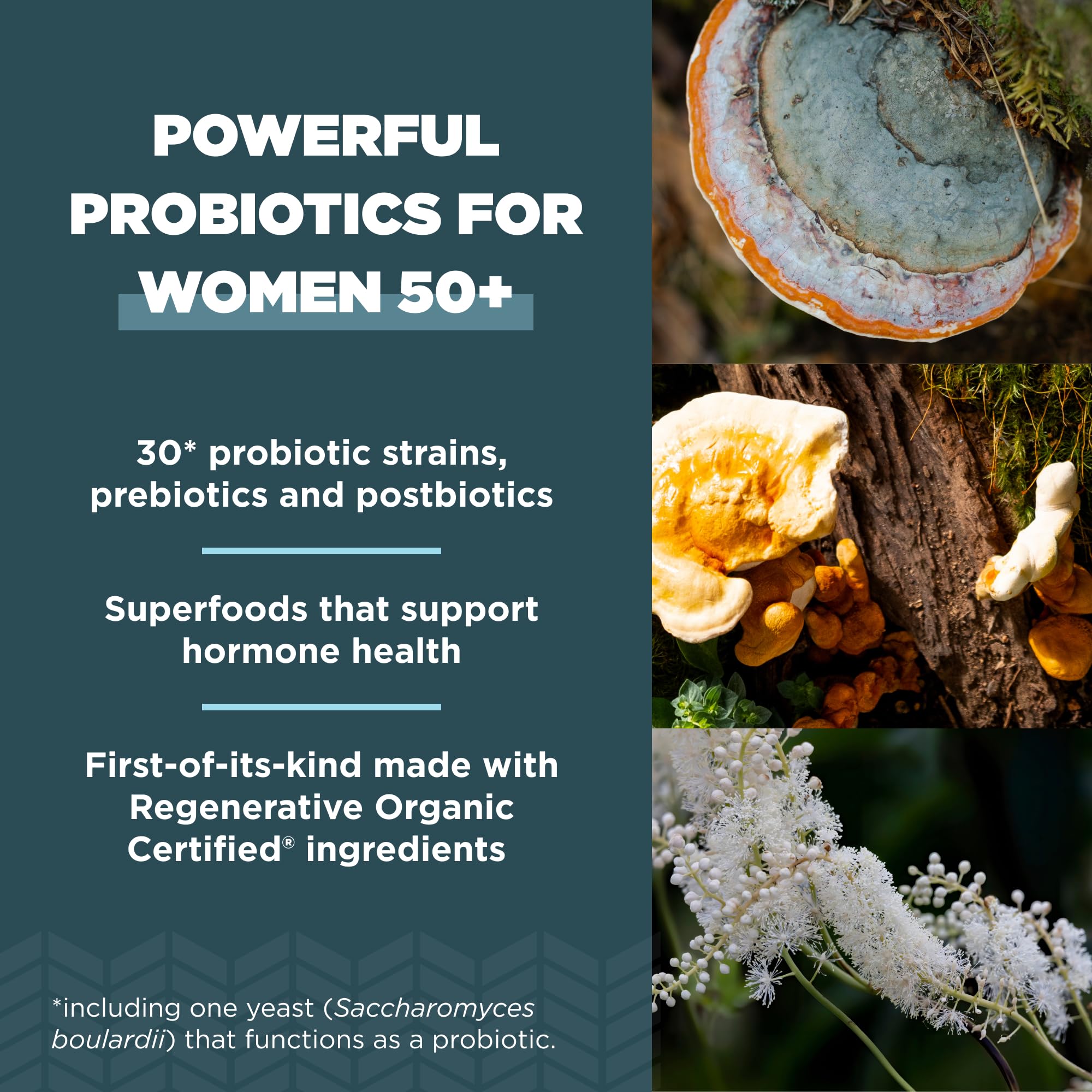 Ancient Nutrition Probióticos Mujer 50+ dosis diaria, promueve salud digestiva.