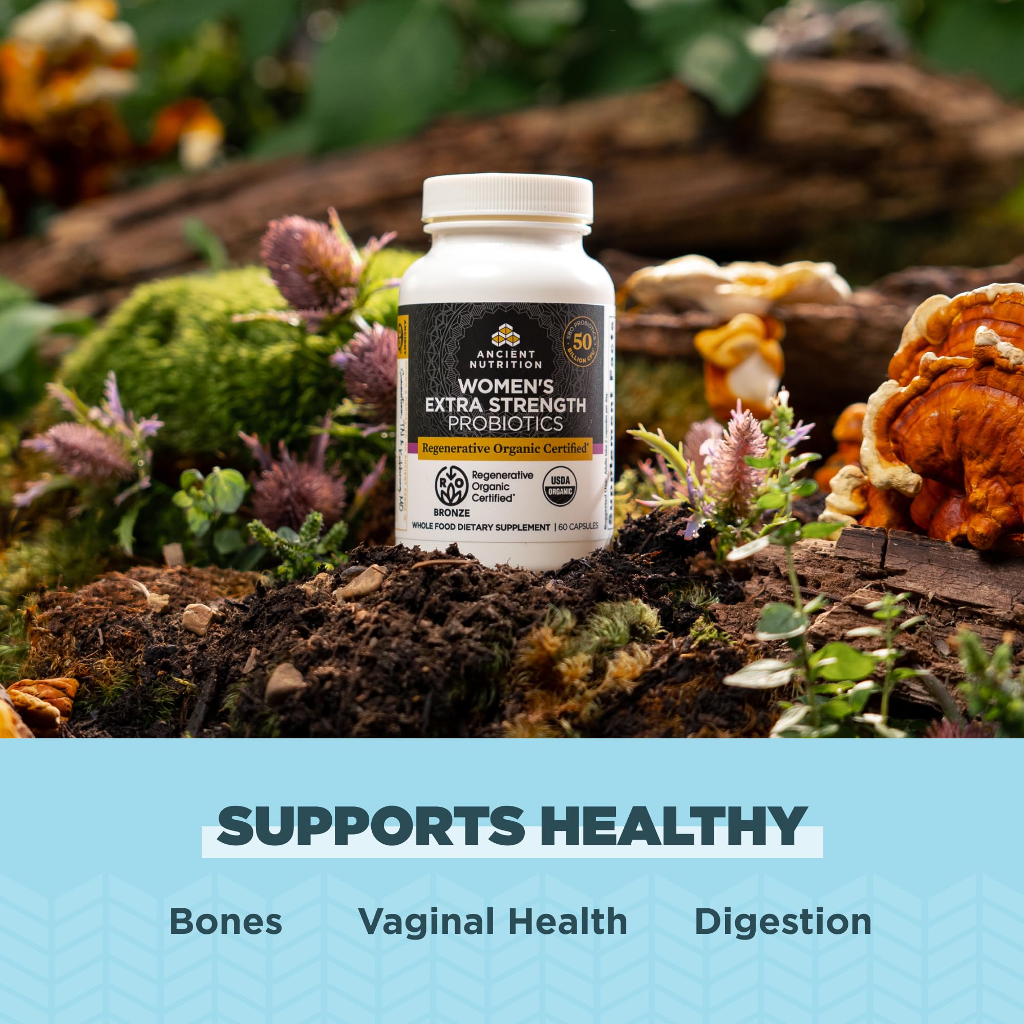 Ancient Nutrition Probioticos Mujeres caja: empaque práctico para la rutina matutina