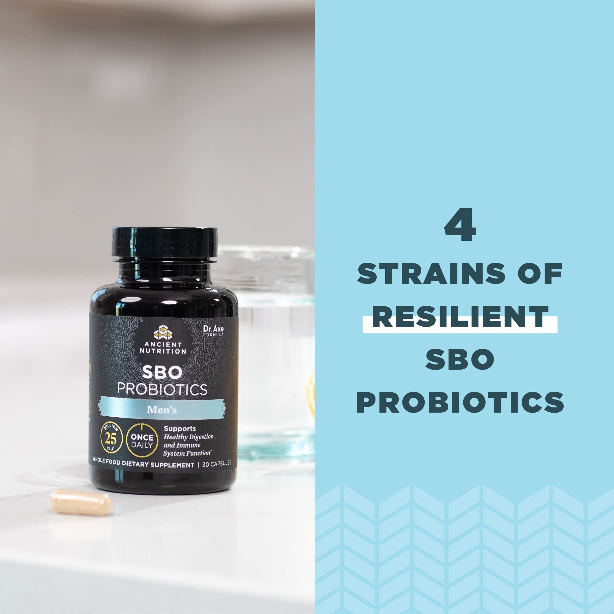 Ancient Nutrition Probiotics para hombres, dosis diaria para digestión