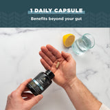 Ancient Nutrition Probiotics para hombres, manos sosteniendo la botella