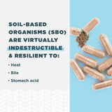 Ancient Nutrition Probiotics fórmula de superalimentos fermentados para energía