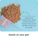 Ancient Nutrition proteína de suero colágeno hidrolizado en pote, articulaciones flexibles