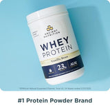 Ancient Nutrition proteína de suero pastorado chocolate bebida en vaso para entrenamiento