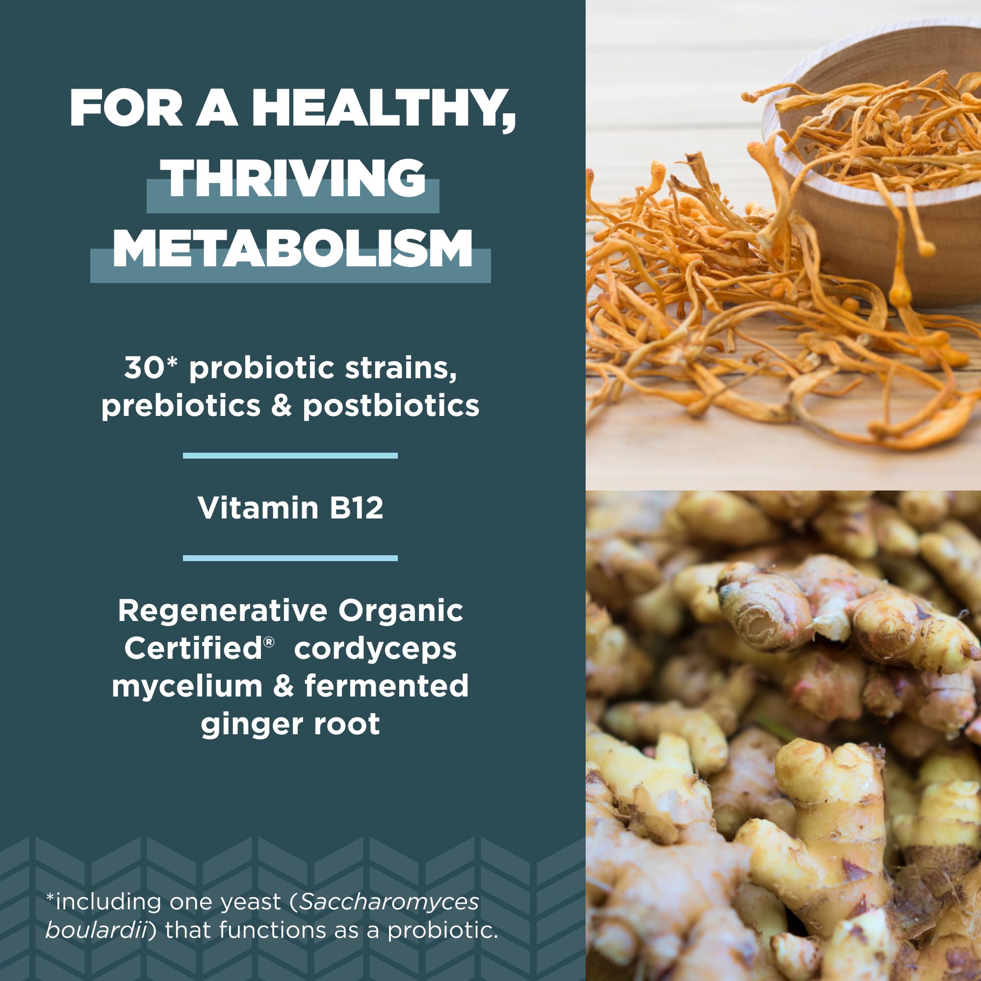 Ancient Nutrition Regenerative Organic Probiotics, cápsulas listas para consumo diario