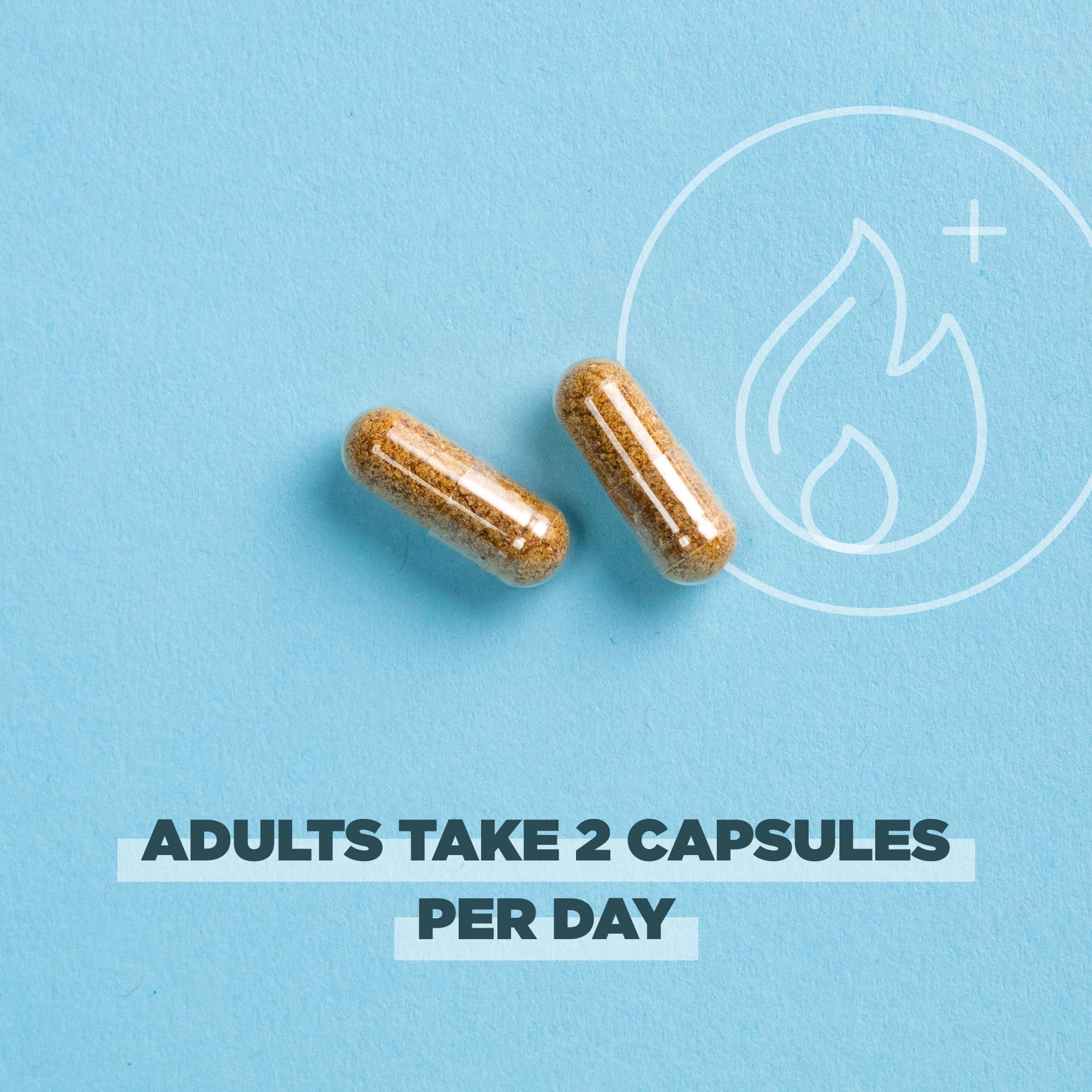 Ancient Nutrition Regenerative Organic Probiotics, ingredients cordyceps y jengibre fermentados