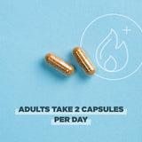Ancient Nutrition Regenerative Organic Probiotics, ingredients cordyceps y jengibre fermentados