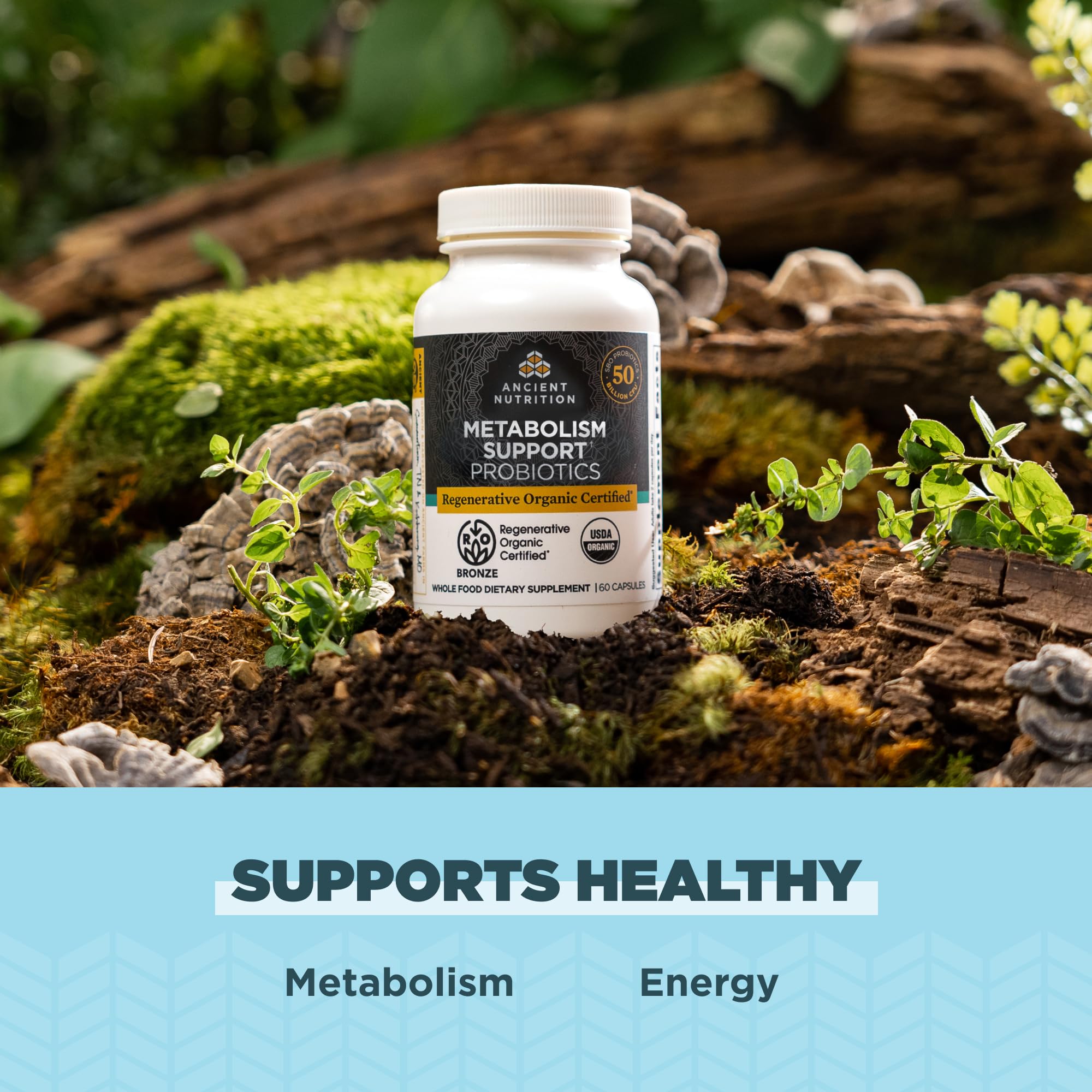 Ancient Nutrition Regenerative Organic Probiotics, presentación en caja sostenible