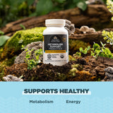 Ancient Nutrition Regenerative Organic Probiotics, presentación en caja sostenible