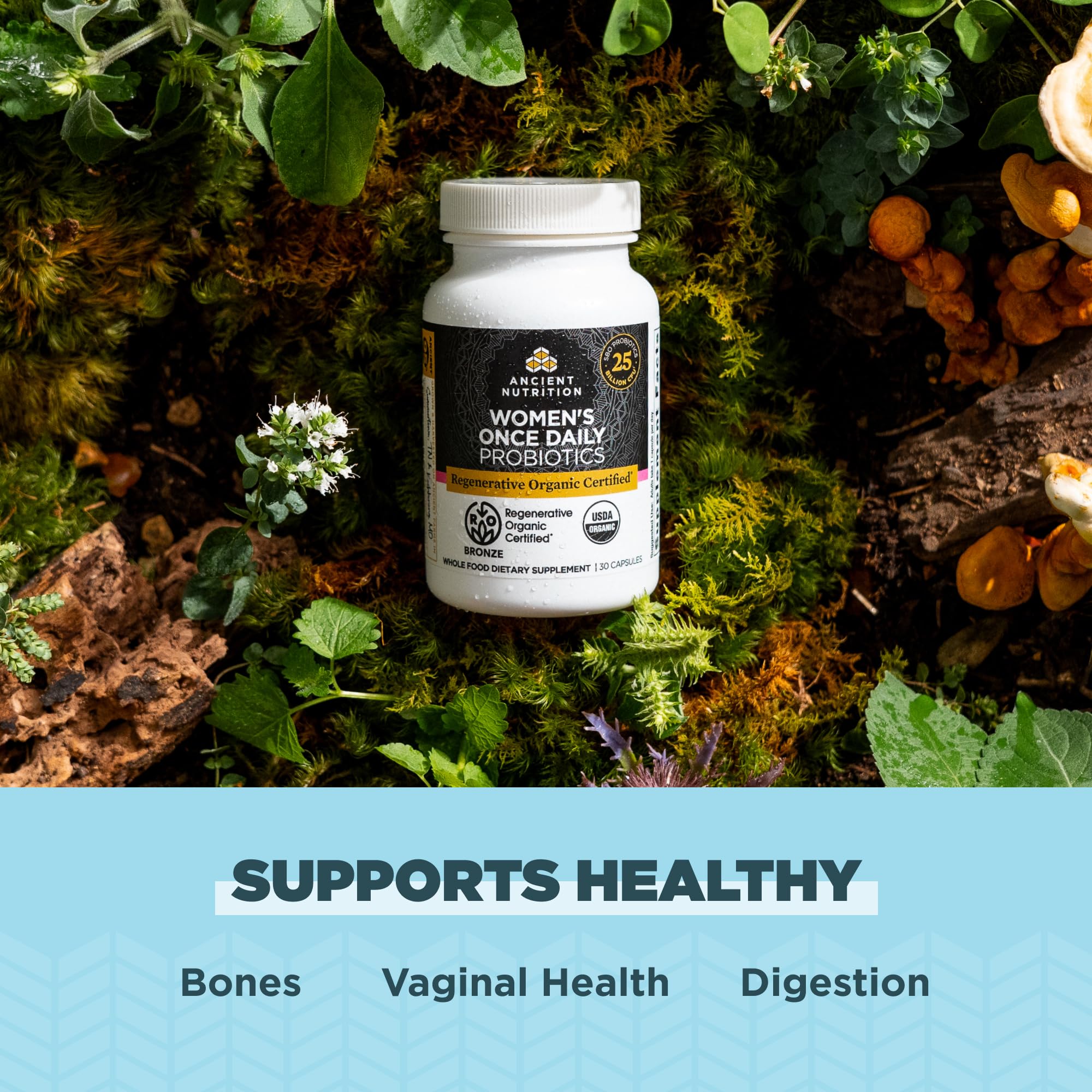 Ancient Nutrition Reishi Micelio: ingrediente calmante para el equilibrio diario.