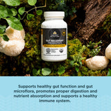 Ancient Nutrition Probioticos: SBO y LAB fermentados para el microbioma