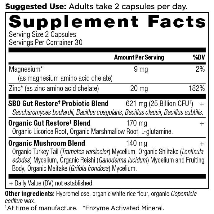 Ancient Nutrition SBO probióticos 25 mil millones CFU cápsulas para digestión suave