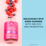Ancient Nutrition SBO Probiotics gomitas frambuesa; textura suave para masticar