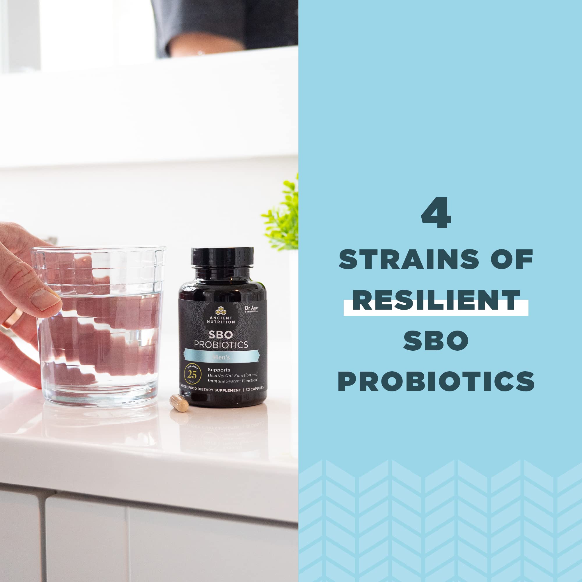 Ancient Nutrition SBO Probiotics para hombres, servicio de porciones, práctica en casa