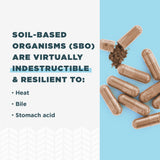 Ancient Nutrition SBO Probiotics, ingredientes fermentados de superalimentos.