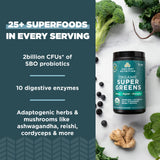 Cuchara medidora de Ancient Nutrition Super Greens para porciones precisas
