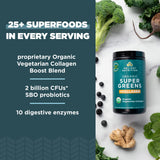 Cuchara medidora de Ancient Nutrition SuperGreens para porciones fáciles