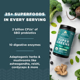 Ingredientes de spirulina y frutos antioxidantes en Ancient Nutrition SuperGreens.
