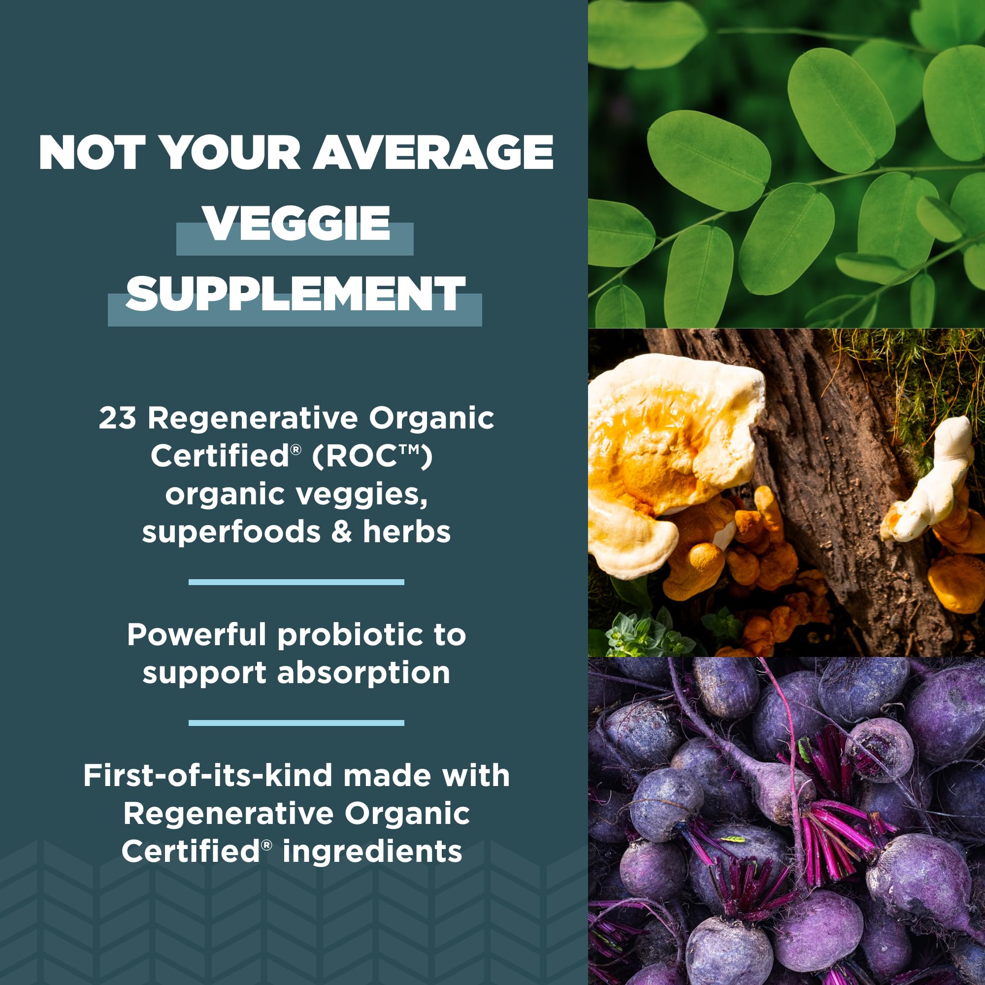 Col rizada en Ancient Nutrition SuperVeggies, ingrediente vegetal destacado.