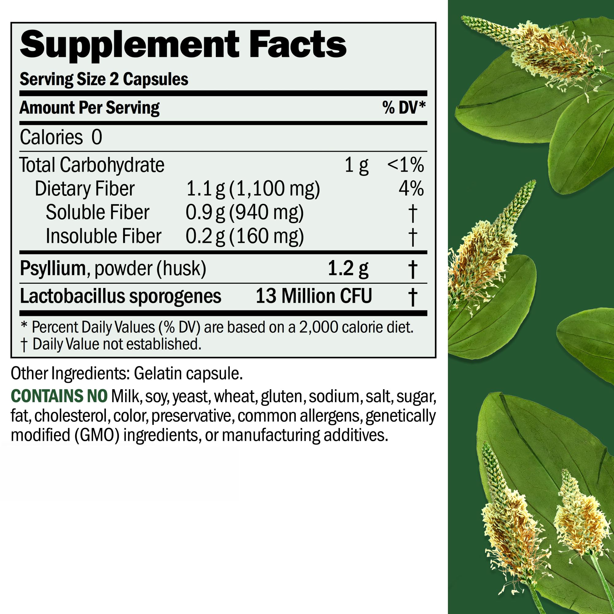 Fibermucil polvo psyllium: fuente natural de fibra soluble para regularidad