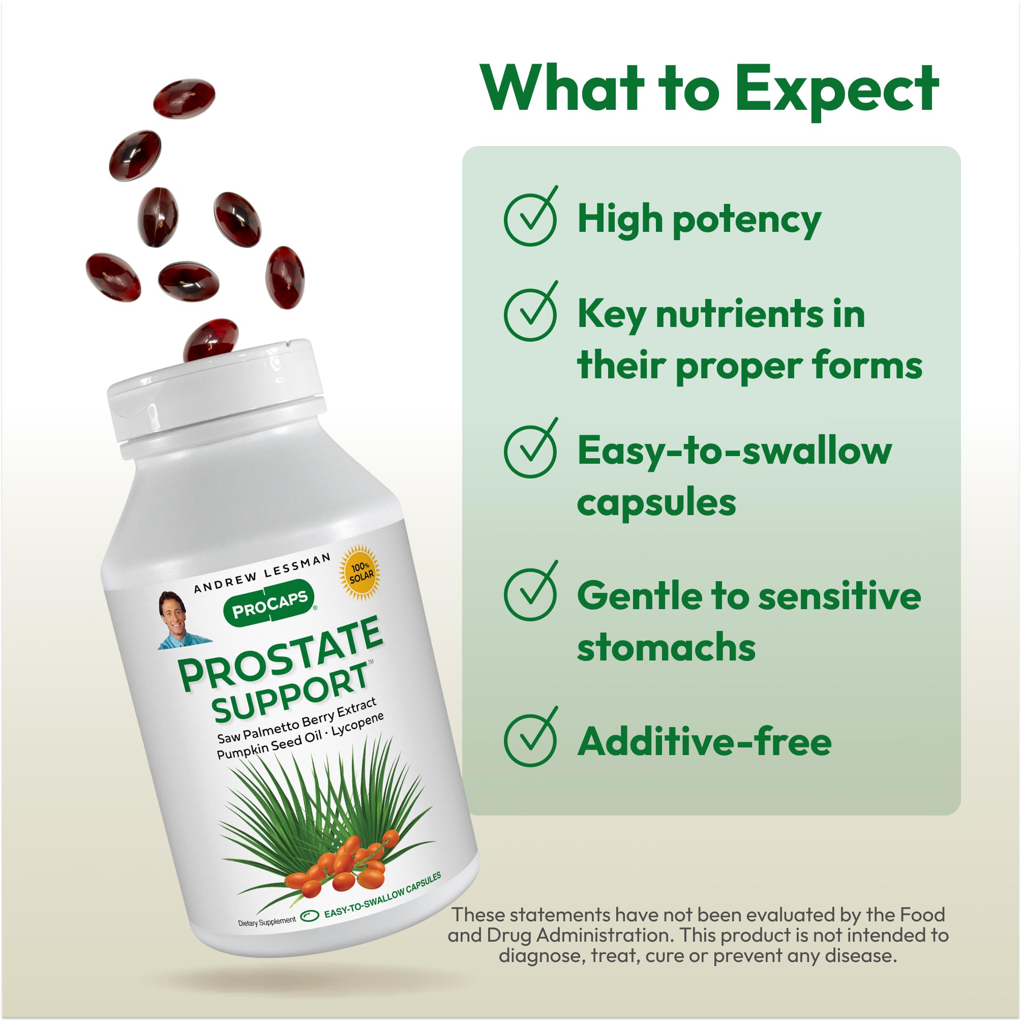 ANDREW LESSMAN Prostate Support: extracto de Saw Palmetto, ingrediente estandarizado para la salud prostática