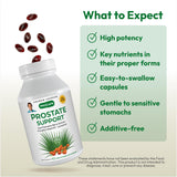 ANDREW LESSMAN Prostate Support: extracto de Saw Palmetto, ingrediente estandarizado para la salud prostática