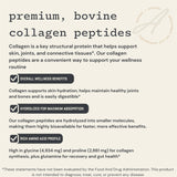 Anea Nutrition Colágeno hidrolizado de alta biodisponibilidad para soporte diario.
