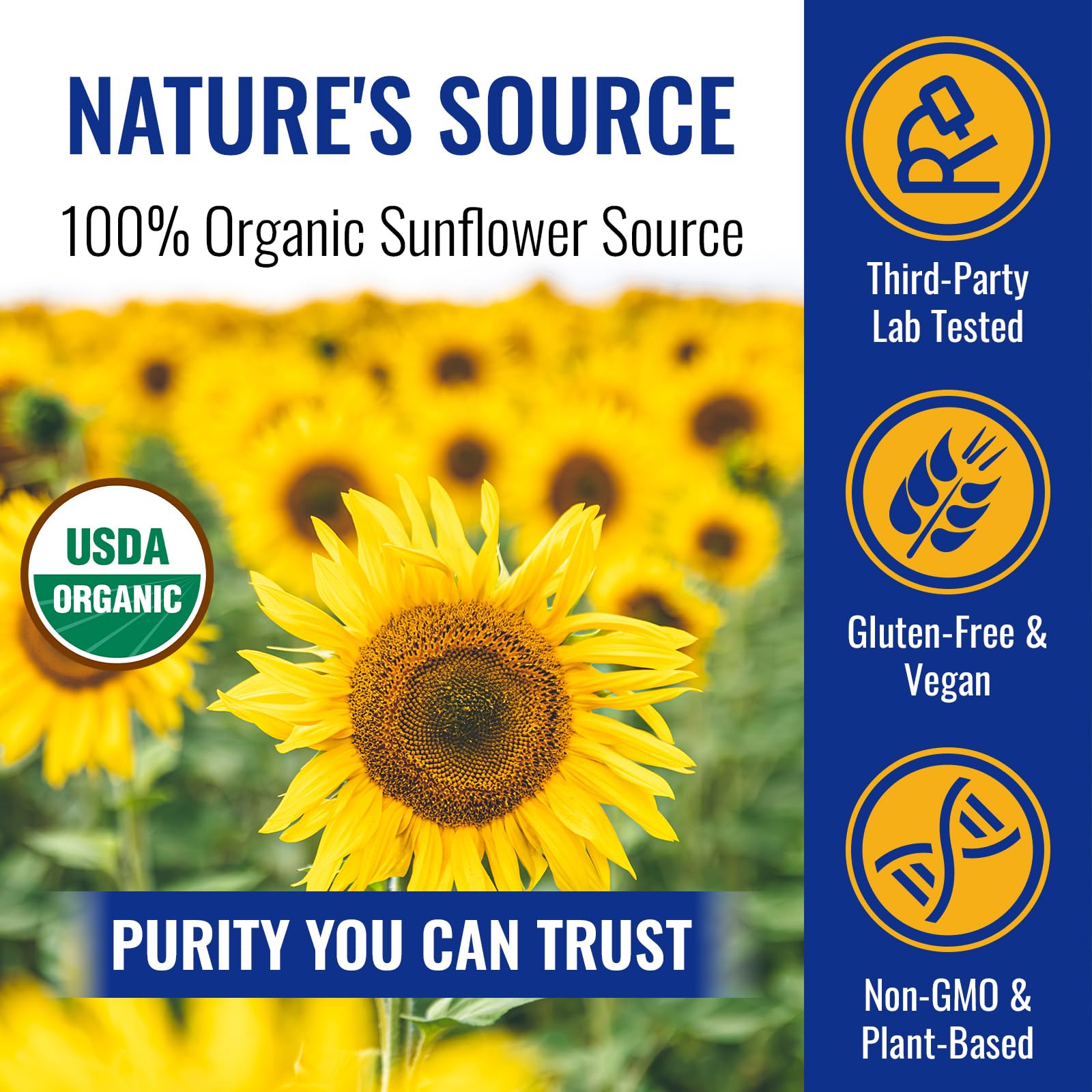 Angtai JN Lecitina de girasol orgánica, polvo para mezclas, mejora la crema en batidos