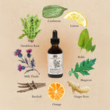 Anima Mundi Amargo Digestive Bitters, primer plano de hierbas y raíces para sabor herbal